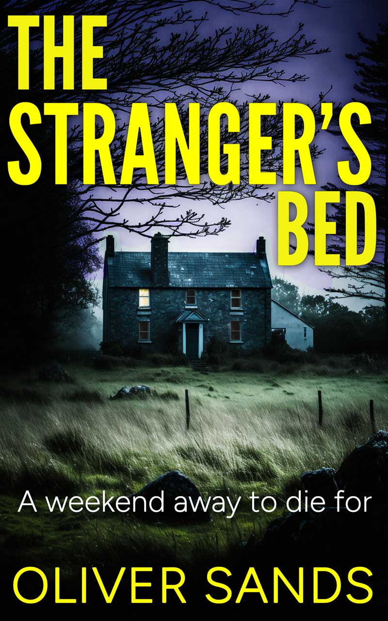 The Stranger's Bed - a gripping suspense story from Ireland